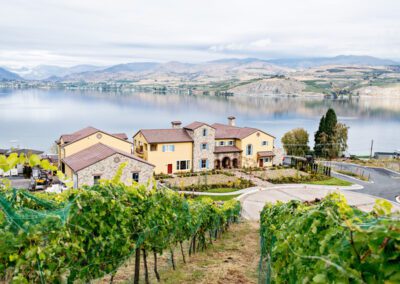 Lakeside vineyard estate with a view of rolling hills in the background.